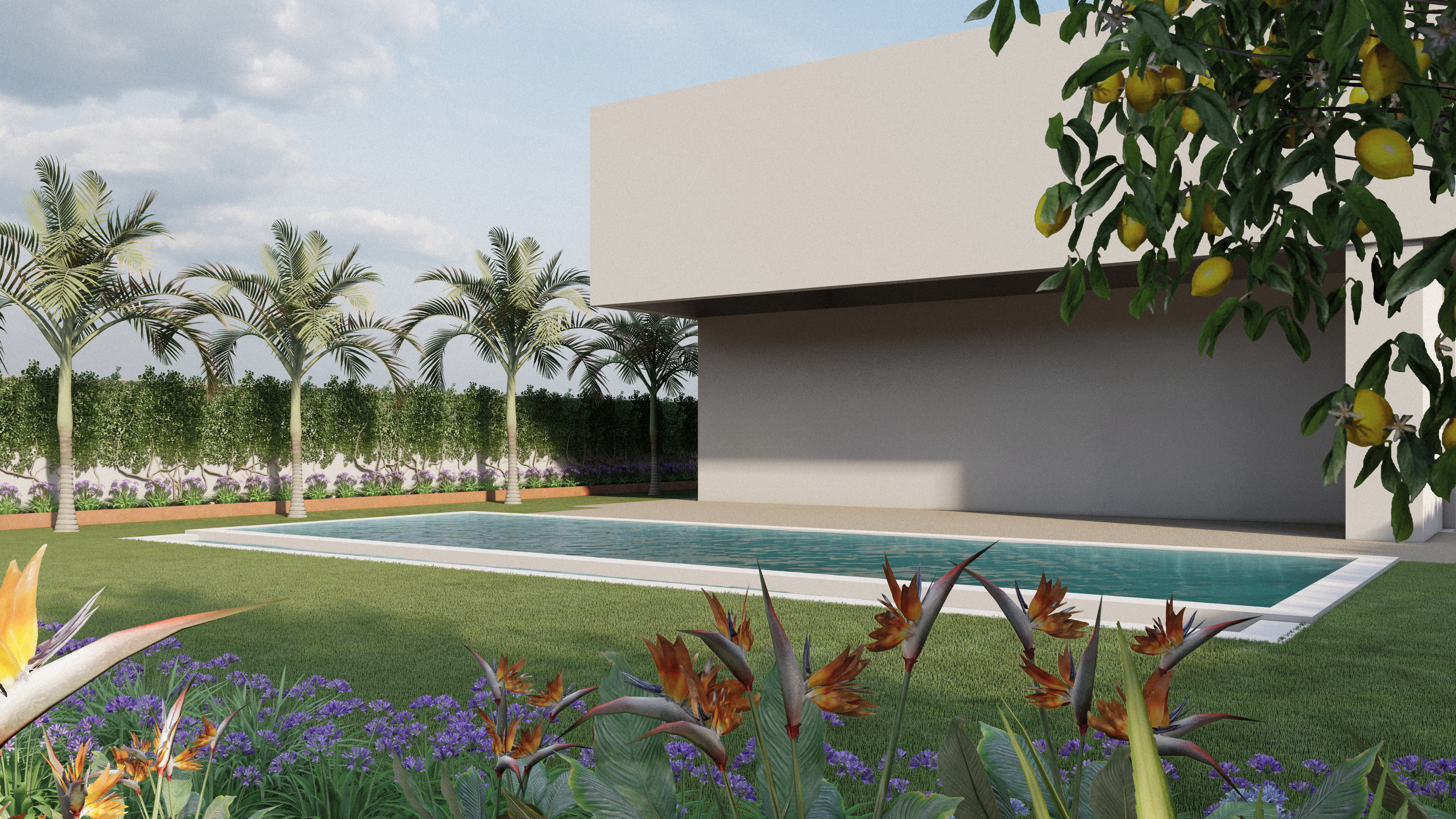 Alcanada — Garden Design Alcúdia, Mallorca, Image 10